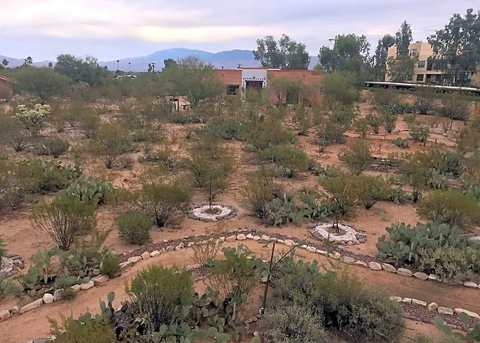 La Casa Que Canta
